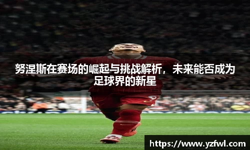 杏耀平台
